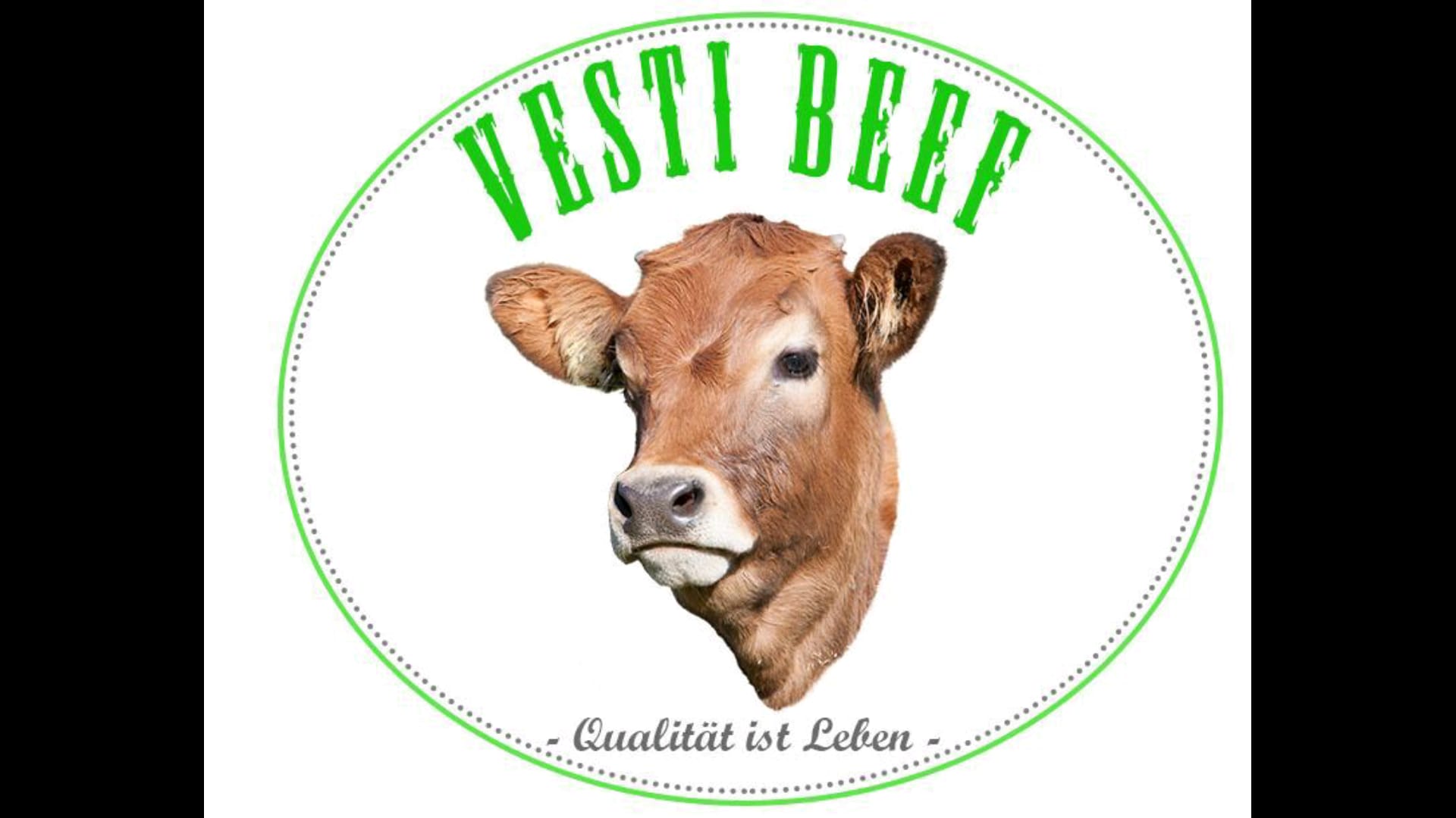 Vesti Beef